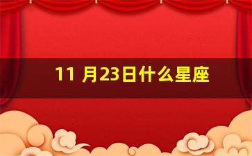 11 月23日什么星座